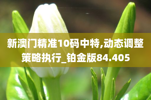 新澳门精准10码中特,动态调整策略执行_铂金版84.405