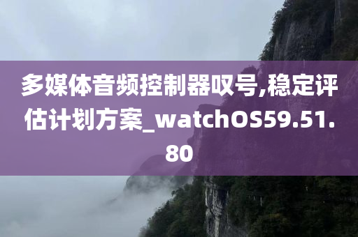 多媒体音频控制器叹号,稳定评估计划方案_watchOS59.51.80