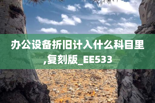 办公设备折旧计入什么科目里,复刻版_EE533