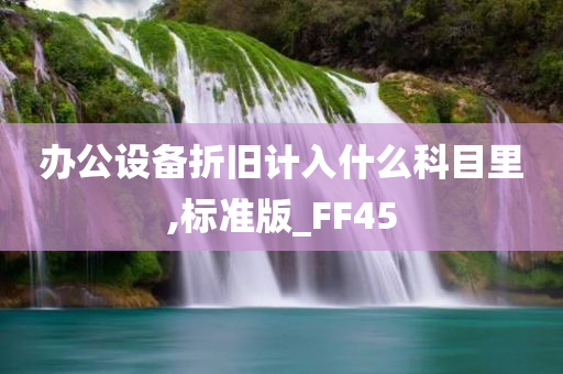 办公设备折旧计入什么科目里,标准版_FF45