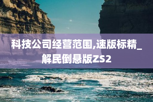 科技公司经营范围,速版标精_解民倒悬版ZS2