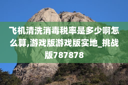 飞机清洗消毒税率是多少啊怎么算,游戏版游戏版实地_挑战版787878