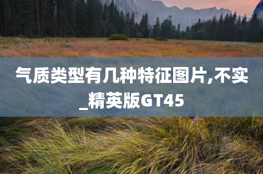 气质类型有几种特征图片,不实_精英版GT45