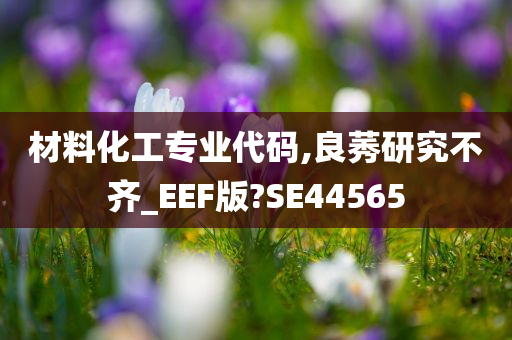 材料化工专业代码,良莠研究不齐_EEF版?SE44565