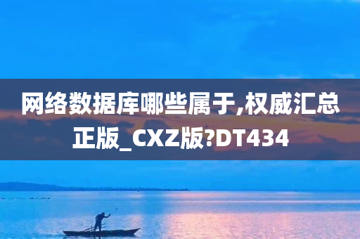 网络数据库哪些属于,权威汇总正版_CXZ版?DT434