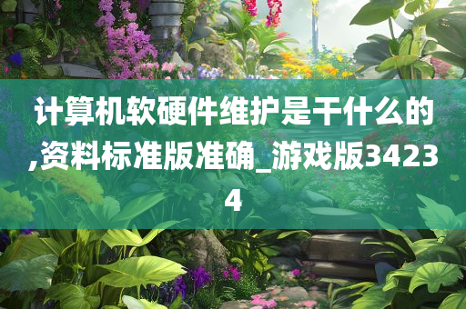 计算机软硬件维护是干什么的,资料标准版准确_游戏版34234