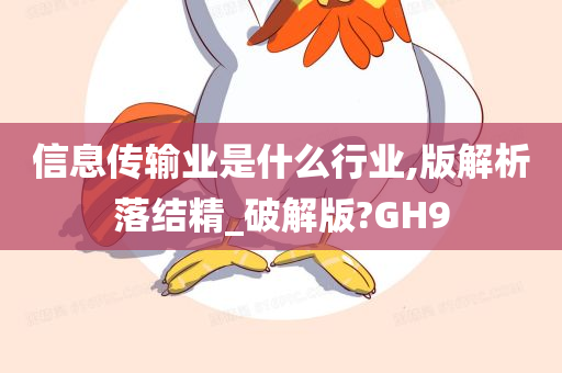 信息传输业是什么行业,版解析落结精_破解版?GH9