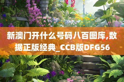 新澳门开什么号码八百图库,数据正版经典_CCB版DFG56