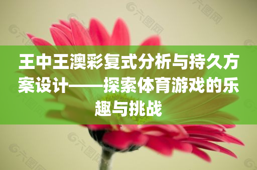 王中王澳彩复式分析与持久方案设计——探索体育游戏的乐趣与挑战