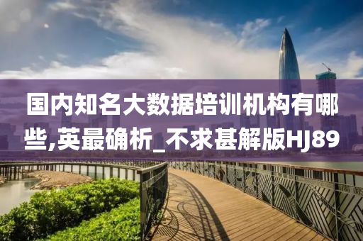 国内知名大数据培训机构有哪些,英最确析_不求甚解版HJ89