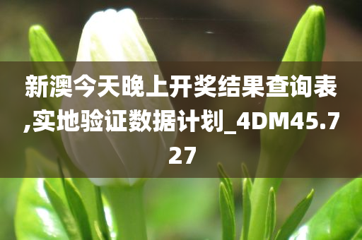 新澳今天晚上开奖结果查询表,实地验证数据计划_4DM45.727