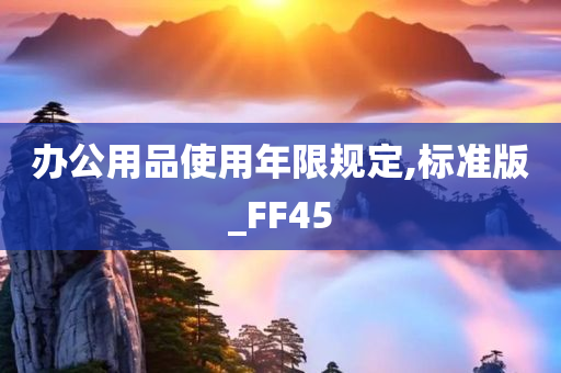 办公用品使用年限规定,标准版_FF45