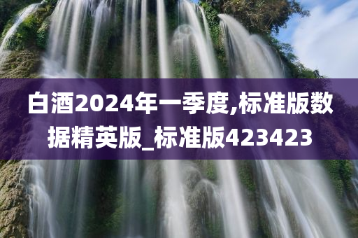 白酒2024年一季度,标准版数据精英版_标准版423423