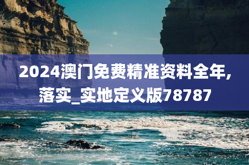 2024澳门免费精准资料全年,落实_实地定义版78787