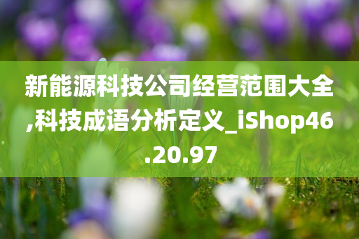 新能源科技公司经营范围大全,科技成语分析定义_iShop46.20.97