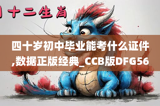 四十岁初中毕业能考什么证件,数据正版经典_CCB版DFG56