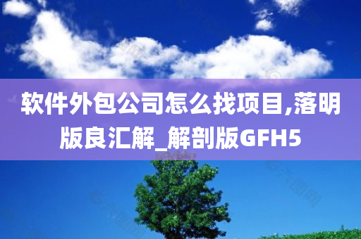 软件外包公司怎么找项目,落明版良汇解_解剖版GFH5