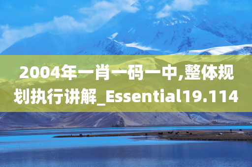 2004年一肖一码一中,整体规划执行讲解_Essential19.114