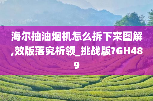 海尔抽油烟机怎么拆下来图解,效版落究析领_挑战版?GH489