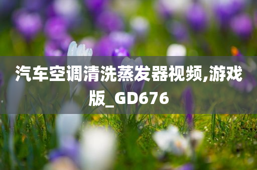 汽车空调清洗蒸发器视频,游戏版_GD676