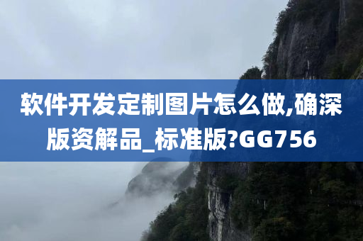 软件开发定制图片怎么做,确深版资解品_标准版?GG756