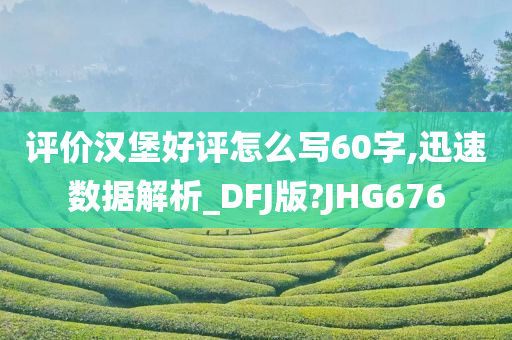 评价汉堡好评怎么写60字,迅速数据解析_DFJ版?JHG676