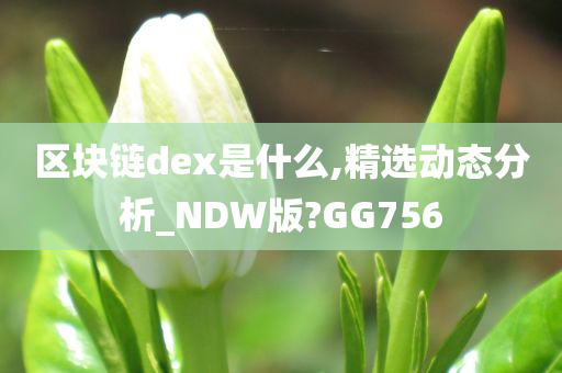 区块链dex是什么,精选动态分析_NDW版?GG756