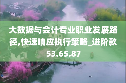 大数据与会计专业职业发展路径,快速响应执行策略_进阶款53.65.87