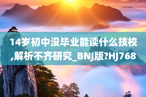 14岁初中没毕业能读什么技校,解析不齐研究_BNJ版?HJ768