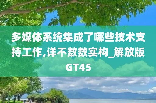 多媒体系统集成了哪些技术支持工作,详不数数实构_解放版GT45