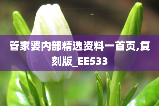 管家婆内部精选资料一首页,复刻版_EE533