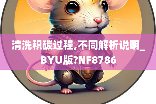 清洗积碳过程,不同解析说明_BYU版?NF8786