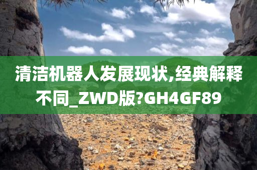 清洁机器人发展现状,经典解释不同_ZWD版?GH4GF89