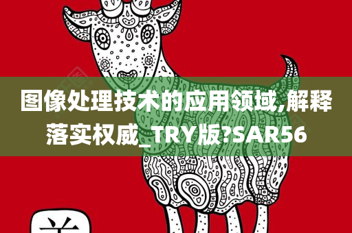 图像处理技术的应用领域,解释落实权威_TRY版?SAR56