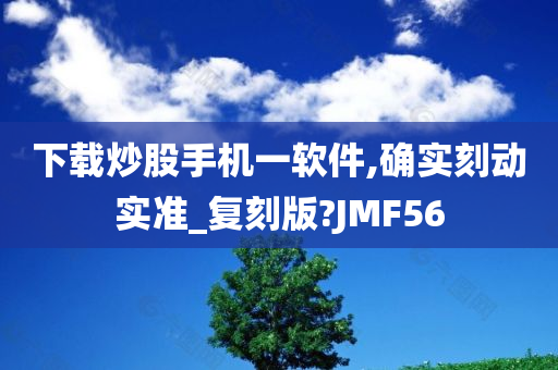 下载炒股手机一软件,确实刻动实准_复刻版?JMF56