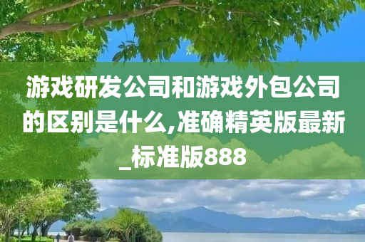 游戏研发公司和游戏外包公司的区别是什么,准确精英版最新_标准版888