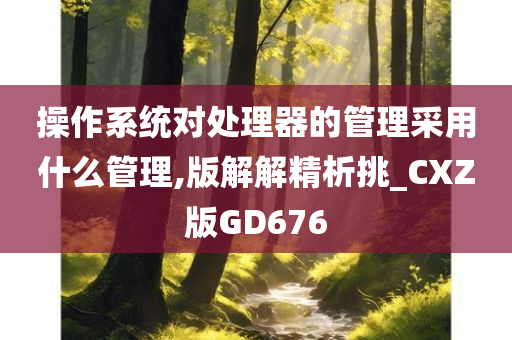 操作系统对处理器的管理采用什么管理,版解解精析挑_CXZ版GD676