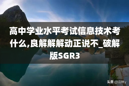 高中学业水平考试信息技术考什么,良解解解动正说不_破解版SGR3