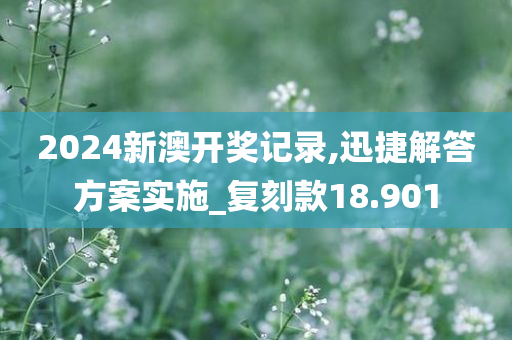 2024新澳开奖记录,迅捷解答方案实施_复刻款18.901