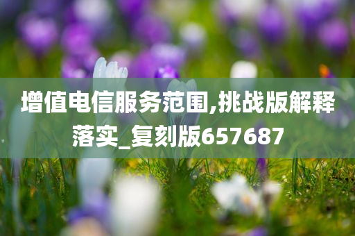 增值电信服务范围,挑战版解释落实_复刻版657687