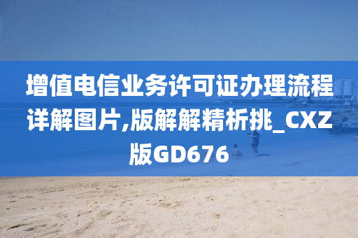 增值电信业务许可证办理流程详解图片,版解解精析挑_CXZ版GD676