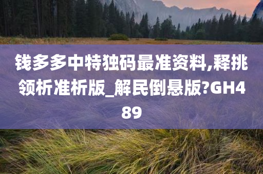 钱多多中特独码最准资料,释挑领析准析版_解民倒悬版?GH489