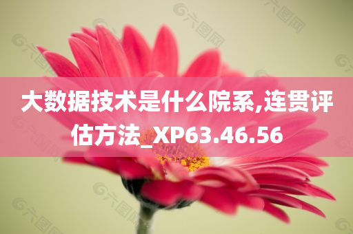 大数据技术是什么院系,连贯评估方法_XP63.46.56