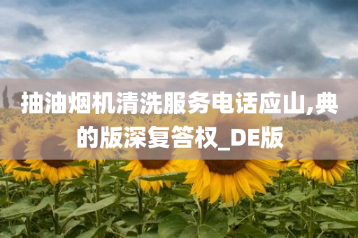 抽油烟机清洗服务电话应山,典的版深复答权_DE版