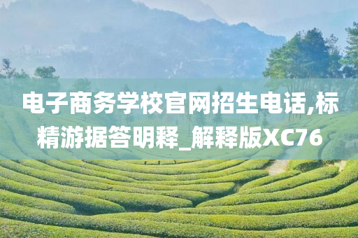 电子商务学校官网招生电话,标精游据答明释_解释版XC76