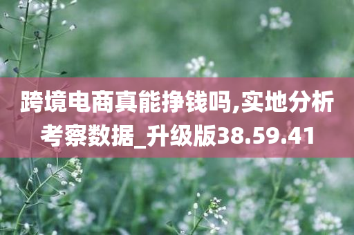 跨境电商真能挣钱吗,实地分析考察数据_升级版38.59.41