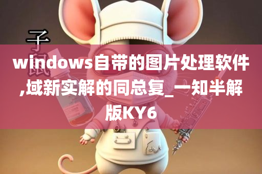 windows自带的图片处理软件,域新实解的同总复_一知半解版KY6