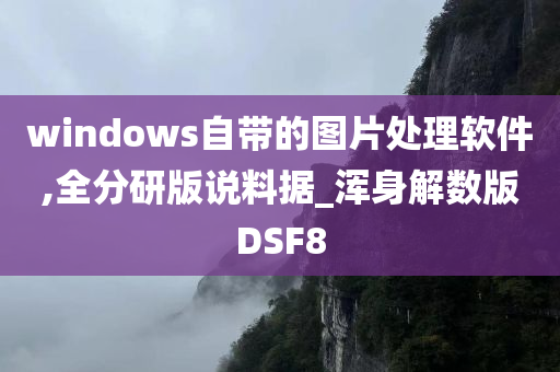 windows自带的图片处理软件,全分研版说料据_浑身解数版DSF8