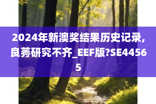 2024年新澳奖结果历史记录,良莠研究不齐_EEF版?SE44565