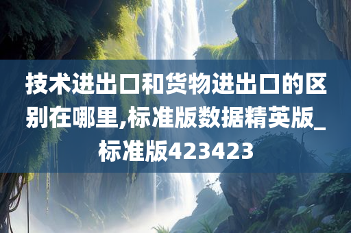 技术进出口和货物进出口的区别在哪里,标准版数据精英版_标准版423423